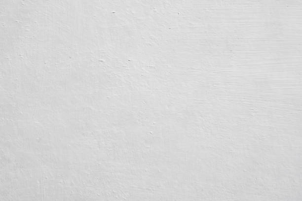 Best Mold Damage Restoration  in Montverde, FL